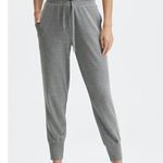 Fabletics  gray drawstring waist size L athletic joggers Photo 0