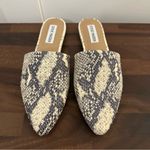 Steve Madden Mules Photo 1