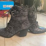 Splendid šHPš Carleton II Snake Bootie Photo 6