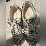 ALDO  Black and Cream Snakeskin Sneakers Photo 2
