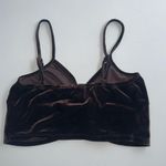 Bear Dance Brown velvet croptop Photo 1