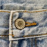 Brandy Melville Jean Skirt Photo 5