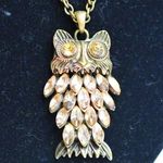 Source Unknown Vintage Rhinestone Owl Brass Tone Captivating Statement Trendy Necklace Photo 1