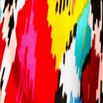 Silence + Noise Urban Outfitters Crop Pant 6 Capri Tribal Ikat Multicolor Belt Photo 3