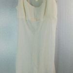 Flora Nikrooz  XL Romantic Chemise in Creme Photo 0