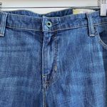 Gap  1969 Blue Stretch Flare Jeans Size 16 Long Photo 2