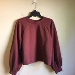 Prologue  XS burgundy top Photo 4