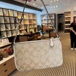 Coach Nolita 19 In Signature Canvas With Floral Applique ch619 Photo 6