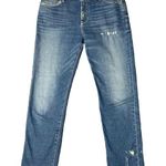 Anthropologie  Jeans 26 Holding Horses Boyfriend Distressed Relaxed Fit Vintage Photo 0