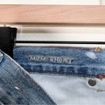 American Eagle Embroidered Floral High Waisted Mom Shorts | Size 6 Photo 7