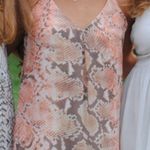 Abbeline Dress Photo 5