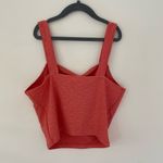 Wall Flower  Size Medium NWT Cropped top Photo 6
