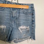 American Eagle  Denim Baggy Mom Short Light Wash Distressed 2 Photo 4