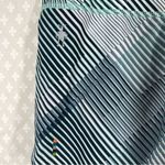 Smartwool  Blue Striped Merino‎ Sport Lined Shorts Photo 2