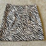 Glam Zebra Print Mini Skirt Photo 0