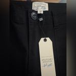 Sanctuary Peace Chino Pants (STANDAR SURPLUS) BLACK SIZE 29 Photo 8