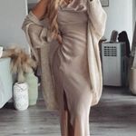 ZARA Nude Pink Dress Photo 0