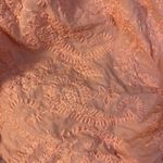 MINKPINK NWT Geneva Textured Crop Top in Rose Size S Boho Photo 5