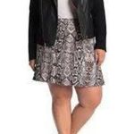 Planet Gold NWOT Snake Print Skater Skirt Button Photo 0