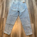 American Eagle Relaxed Mom Jeans Photo 1