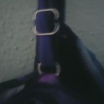 TrimShaper 18 Blue Purple Tiger One Piece Swim Suit Plus Photo 2