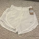 Nike  Dry Fit Shorts Photo 0