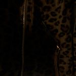 Kensie ⭐️Leopard Motorcycle Style Jacket S Photo 4