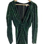 Ronny Kobo Astrid Green Animal Print Velvet Ruched Long Sleeve Midi Dress XS Photo 4