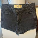 Hollister Black Shorts Photo 0