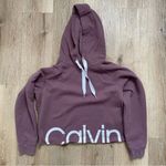 Calvin Klein Performance Women's Logo Long Sleeve Raglan Crop Pullover Hoodie Purple Size M Photo 5