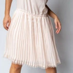 Victoria's Secret Victoria’s Secret Cream Ivory Satin Slip Dress Pleated Skirt Dk Grey Rhinestone Photo 0
