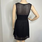 Papaya  Black Lace Skater Dress Photo 2