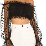 Miami Style Hot  Crop Top Photo 0