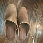 Chelsea and Violet  clogs Photo 1