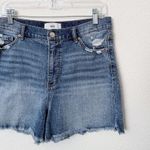 BKE [] Parker High Rise Distressed Denim Cut Off Shorts Stretch Raw Hem Size 30 Photo 5