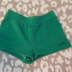 Arctix Aritzia Shorts  Photo 0