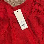 Francesca's Francesca’s - Red lace cami Photo 1
