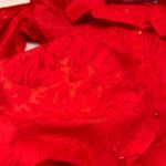 Sag Harbor Costal Grandma Blouse Red 3/4 Sleeve Button Floral Sheer XL Holiday Photo 7