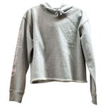 Champion Gray Hoodie with Pink Sleeve Logo- Cropped - Size Large Photo 0