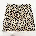 J. Crew Factory Polka Dot Mini Skirt Women's 4 Black Ivory Preppy Career Dainty Photo 3