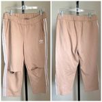 Adidas Info Star Knee Slit Poster Track Pants Photo 2