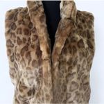 Fabulous Furs Photo 1