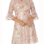 Adrianna Papell . Embroidered Sequin Cocktail Dress. Photo 0