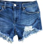 BLANK NYC The Astor Distressed Cut Off Shorts 27 Photo 52