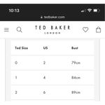 Ted Baker  Josa Red Orange Tunic Shift Dress with a Chiffon Outer Layer size 2 Photo 2