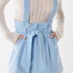 Urban Outfitters Overall Skirt Photo 0