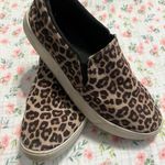 Soda  Leopard Print shoes Photo 0