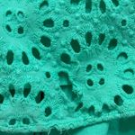 Lilly Pulitzer Chrisella Eyelet Embroidered Midi Belted Shirt Dress Green Size 0 Photo 8