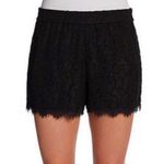 Diane Von Furstenberg DVF benan lace shorts Photo 0