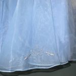 Disney  parks Cinderella cosplay embroidered dress shop dress XL Photo 3